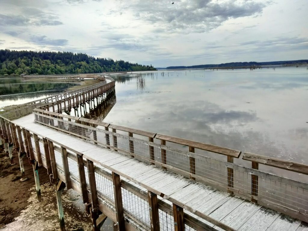 This mile-long boardwalk along the water.