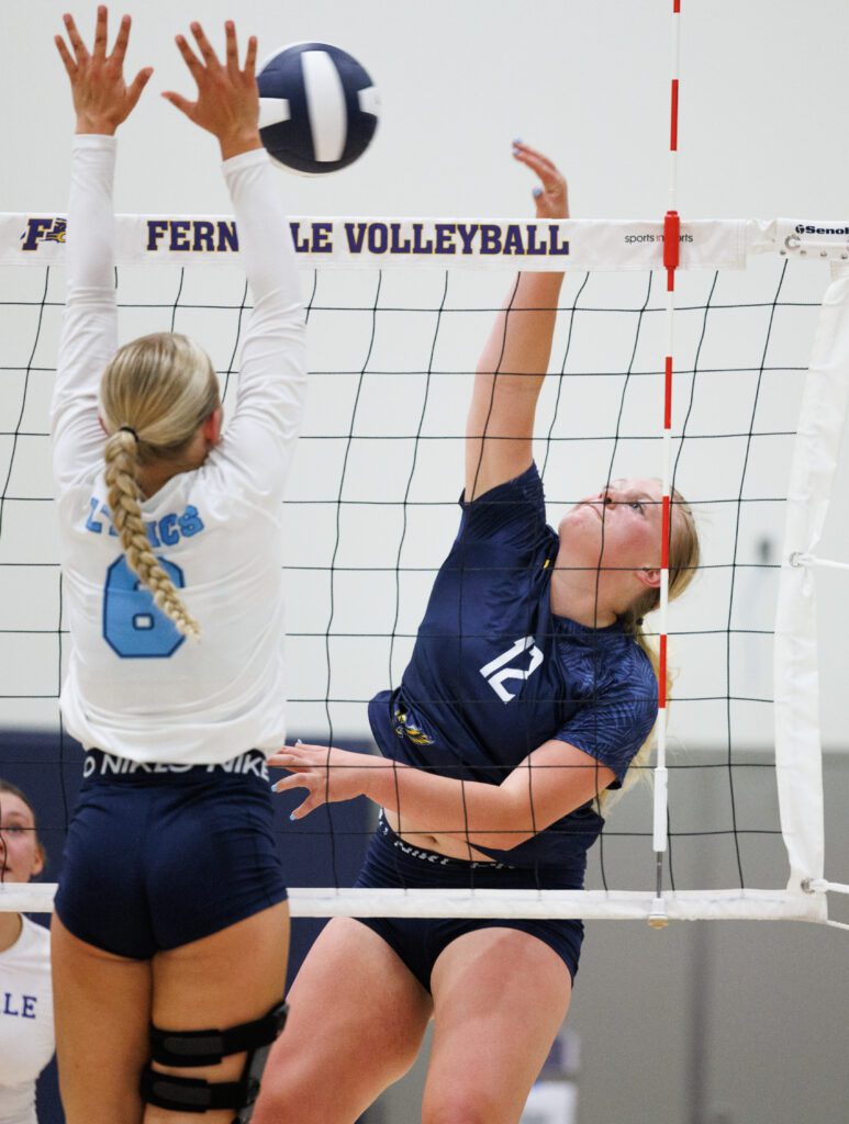 Ferndale's Madisyn Butenschoen spikes the ball over the net to a defender.