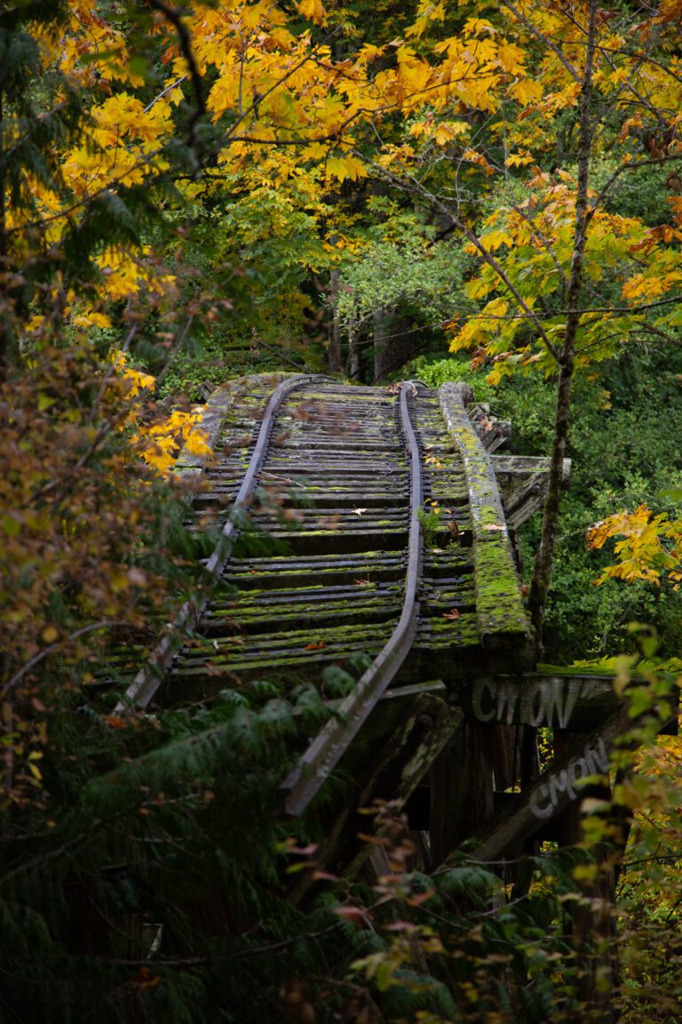 Abandoned railroad trestles are surrounded by various colorful trees in Whatcom Falls Park.