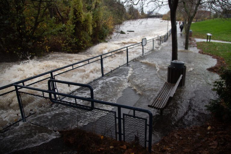 Whatcom Creek floods over its banks at Maritime Heritage Park as the water extends to the grass.