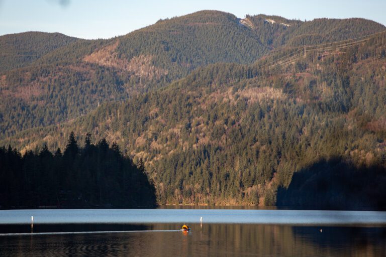 Lake Whatcom with mountains covered in trees looming over.