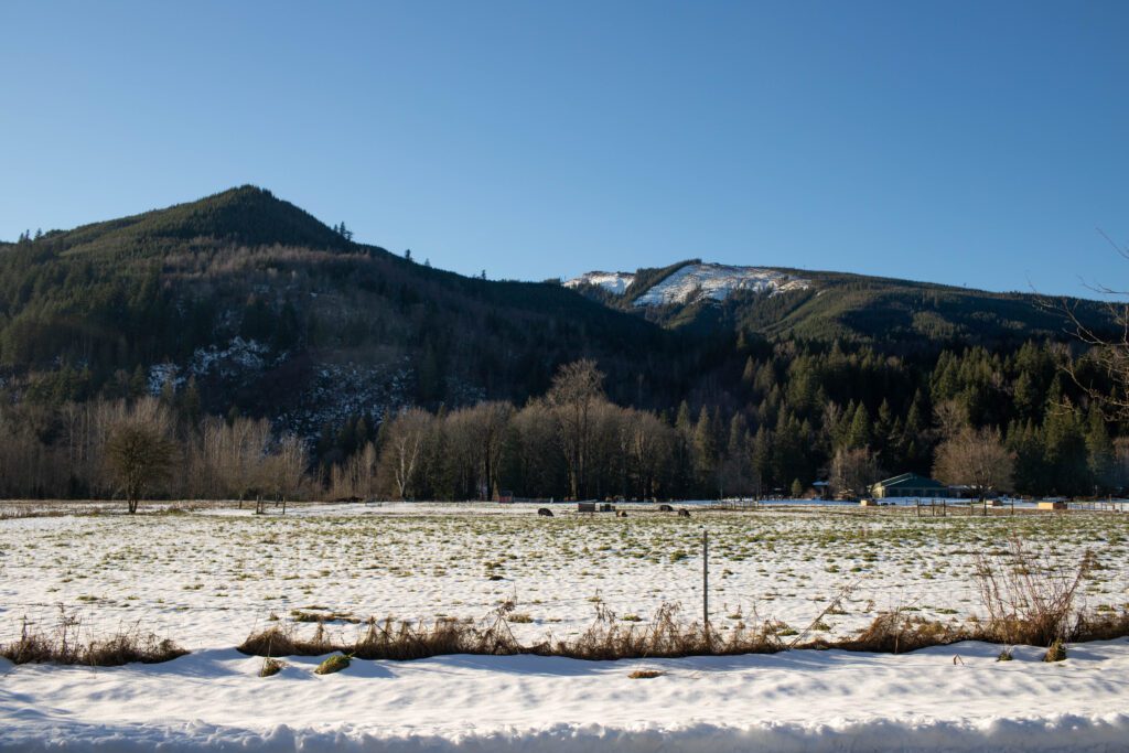 A snowy farmland is overlooked by towering mountains and trees.