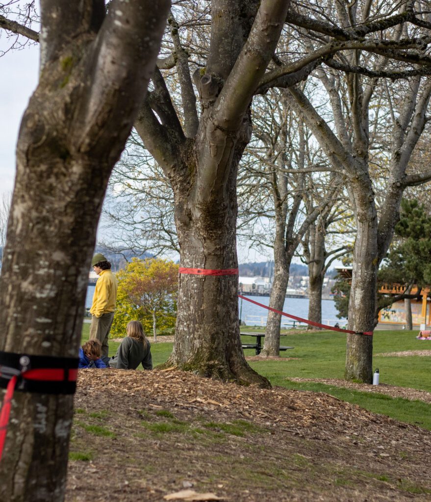 A red slackline was set up between two trees at Boulevard Park.