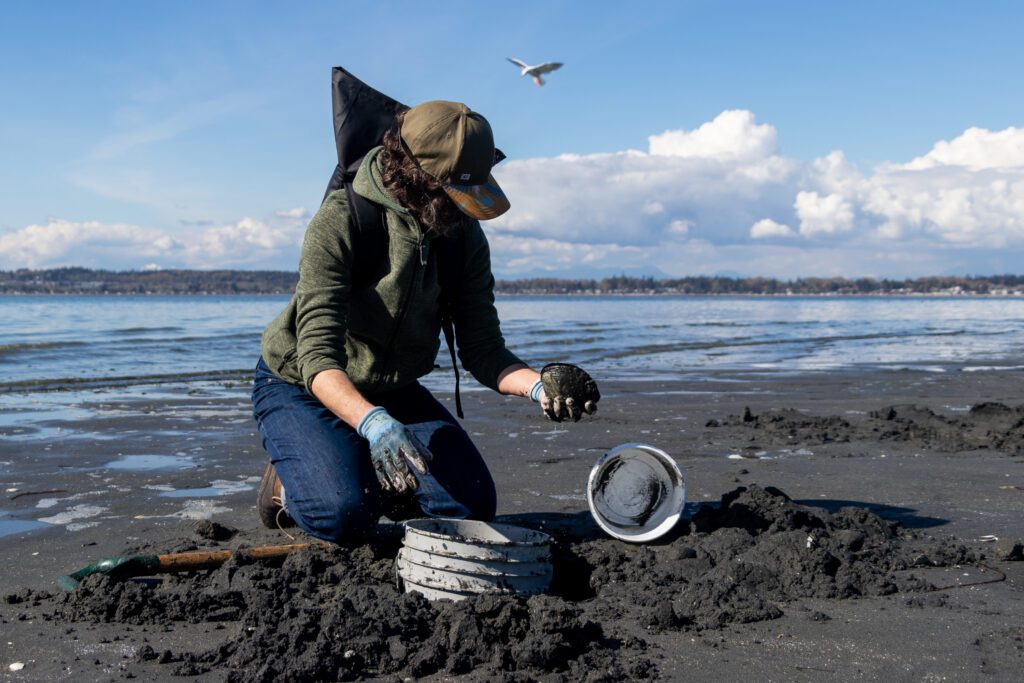 Robin Kort holds up a horse clam using a shovel and a bucket.