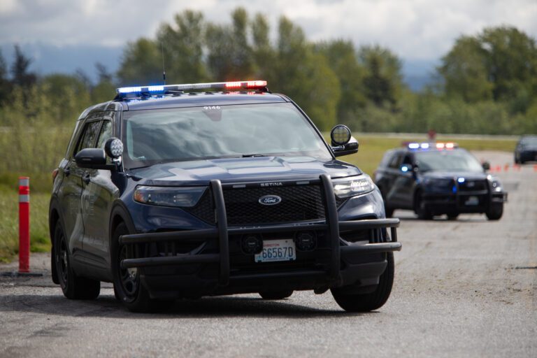 Police cruisers parked on the side.