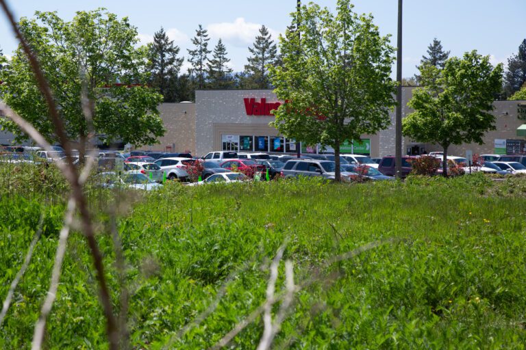 A 50-unit tiny home development area near a parking lot.