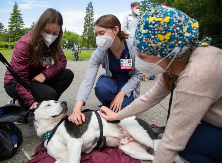 St. Joseph PeaceHealth dietitians, from left, Alex Mirante, Courtney Caldwell and Jill Kelly pet Domino outside the hospital.