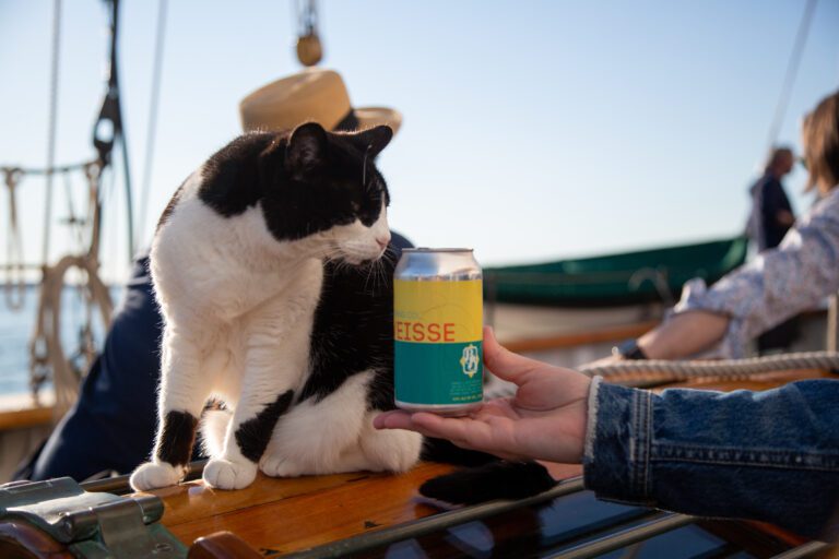 Abby, the Schooner Zodiac's resident cat, sniffs a can of Boundary Bay Citraweisse.