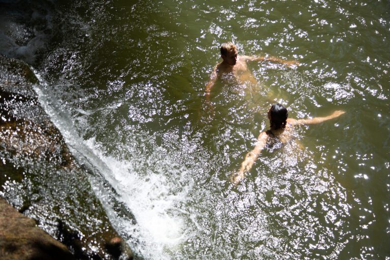 People swim in Whatcom Creek.