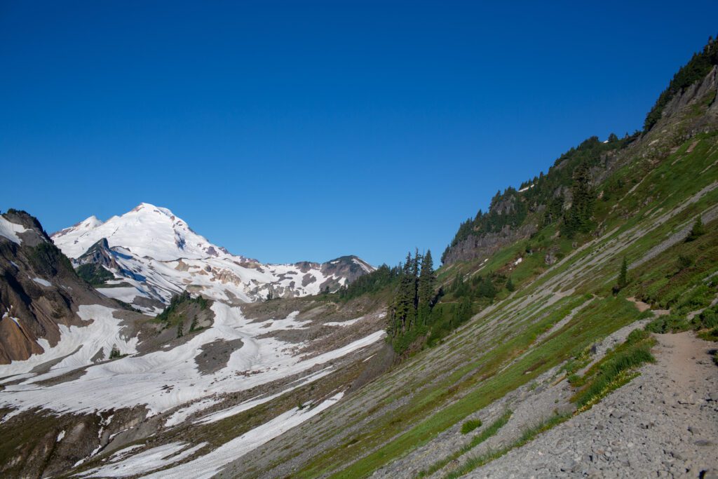 Mount Baker rises above the Chain Lakes Loop trail with snow covering on side.