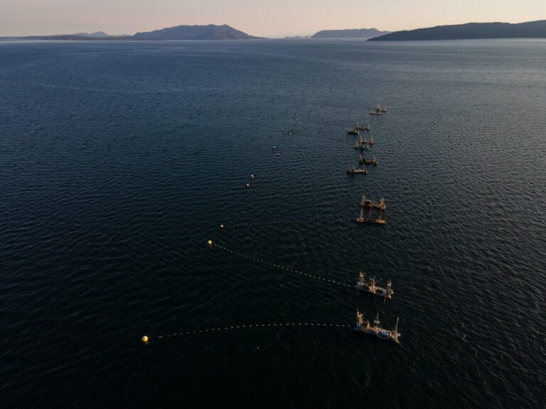 Reefnet boats sit off the shore of Lummi island.