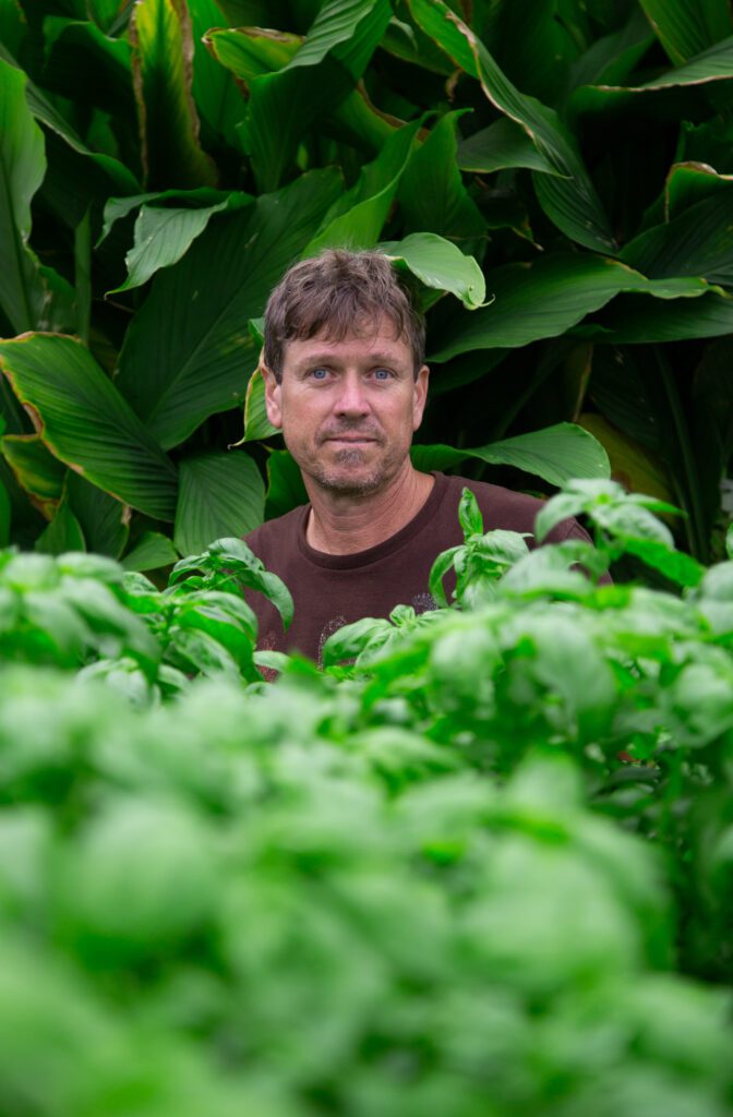 Surrounded by fresh basil and turmeric plants, Brian Rusk stands in FarmWild's greenhouse.