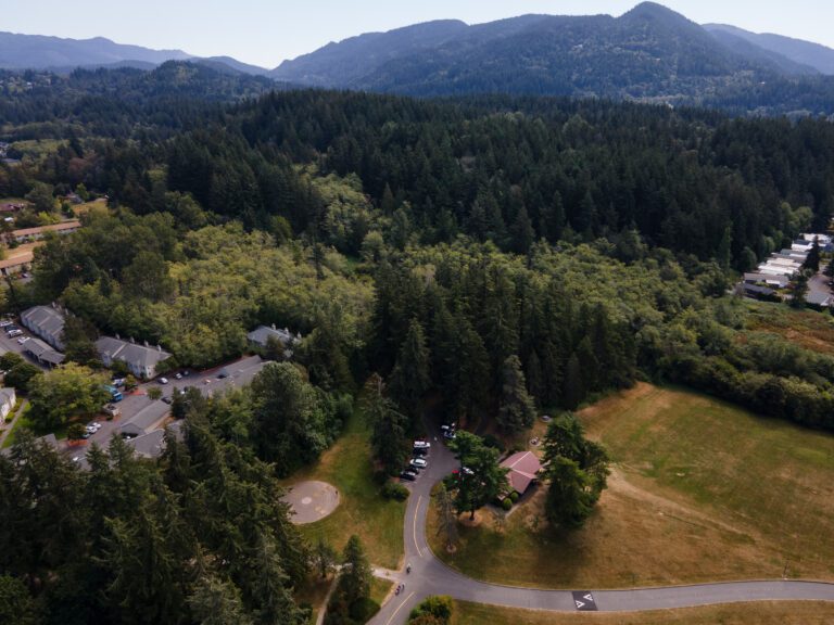 An aerial view of the expansive forested park named Hundred Acre Wood.