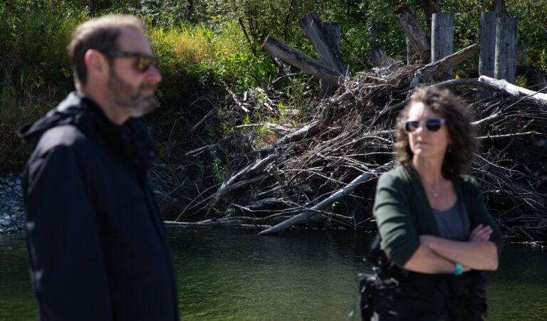 Logs and debris pile high to create a logjam on the South Fork Nooksack River.