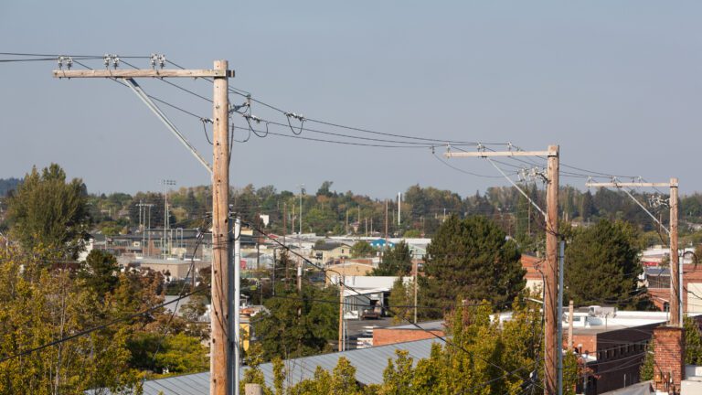 Fiber-optic cables for broadband run in powerline.