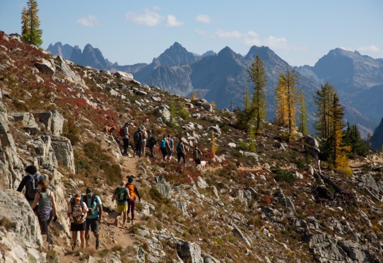 The Maple Pass Loop surrounded by the golden larch trees and fall colors in North Cascades National Park.