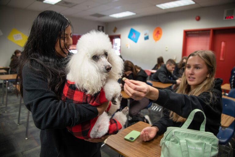 Inside Mount Baker High School students Isa Riedesel, left, and Molly Lenssen try to feed therapy dog Maverick treats.