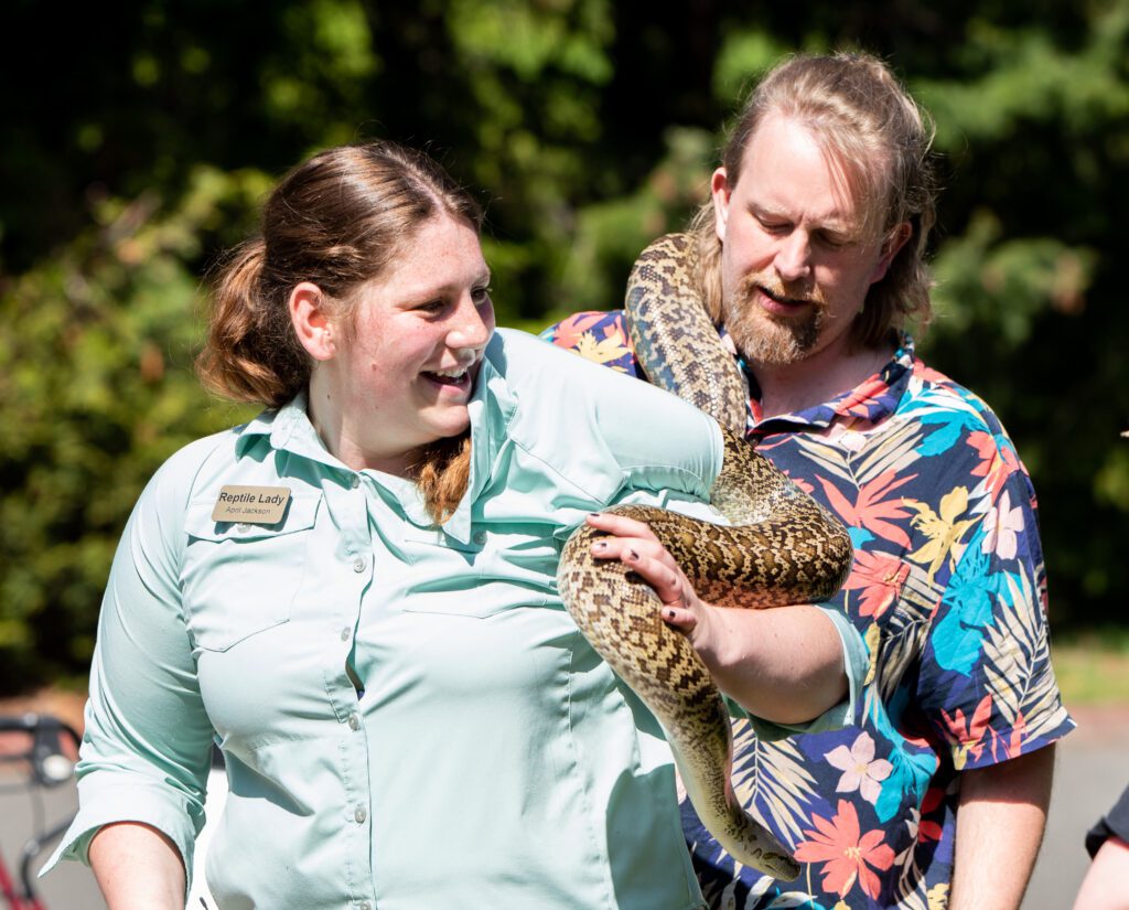 April Jackson tries to work Mr. Pickles the Burmese python out of her shirt with the help of an aid.