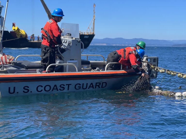 Divers pull out heavy nets from the waters.