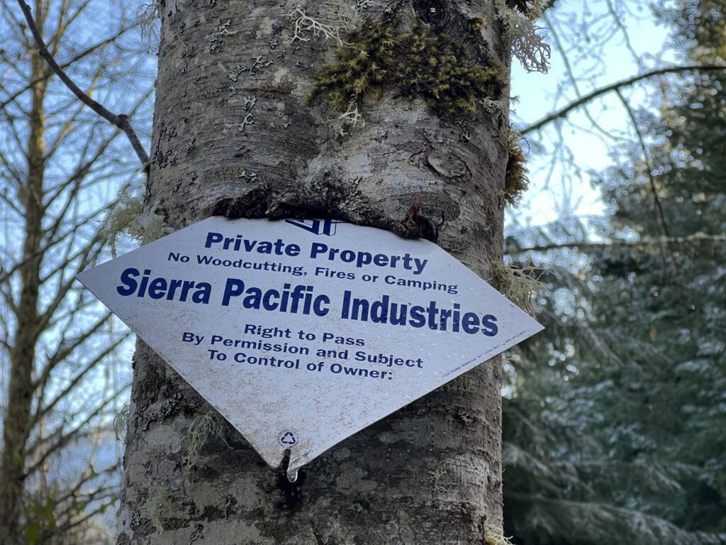 Sierra Pacific Industries's posted signs on trees warns visitors to not cut wood, start fires, or camp.