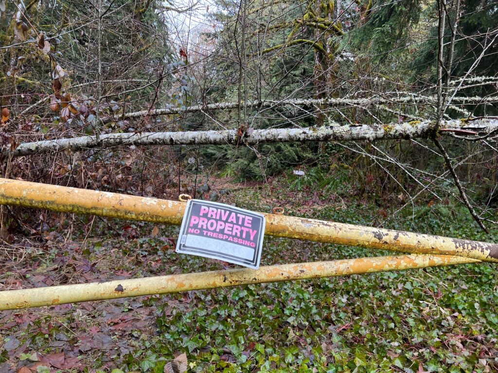 Canyon Lake Road, the main access to Canyon Lake Community Forest, has been closed off with a yellow gate.