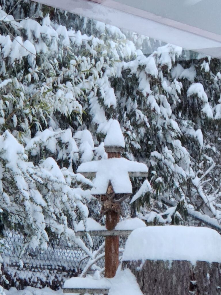 A "snowdude" stands at attention at the top of a star shaped object in Forest Heights