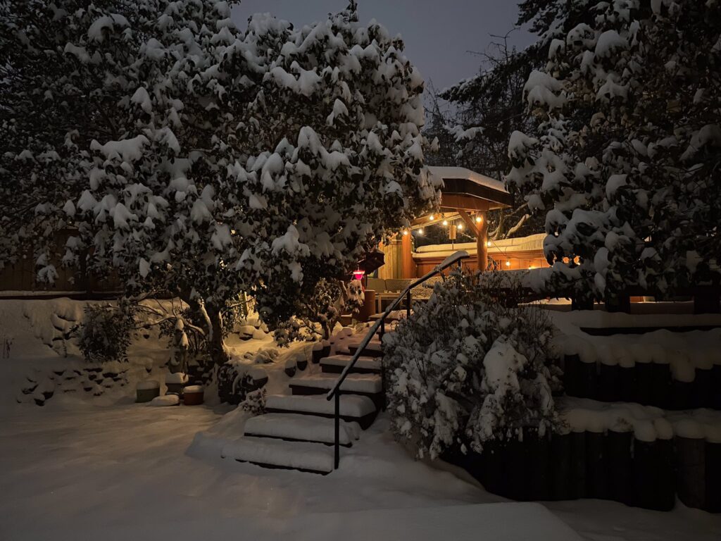 Snow covers the backyard of Valerie Day's home.