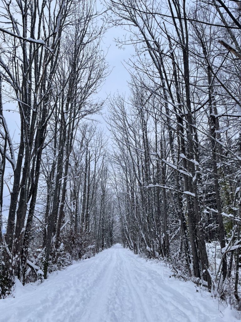 Snow covers the path on the Railroad Trail.