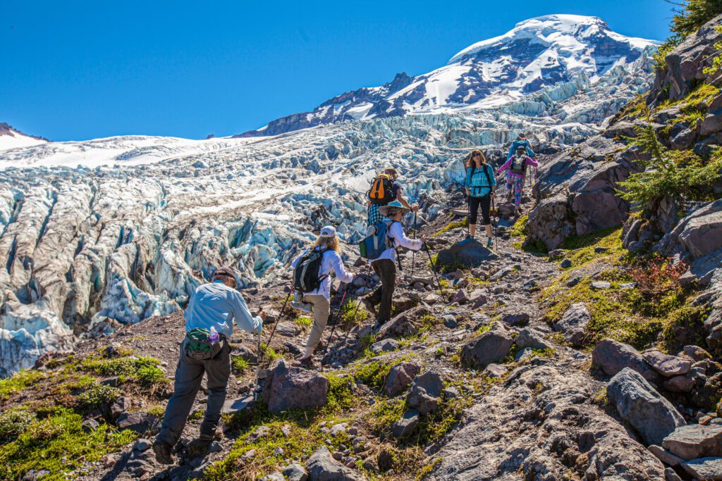 Members of the Bellingham Boomers hiking group pick their way up the trail toward Heliotrope Ridge as one member looks back to double check.