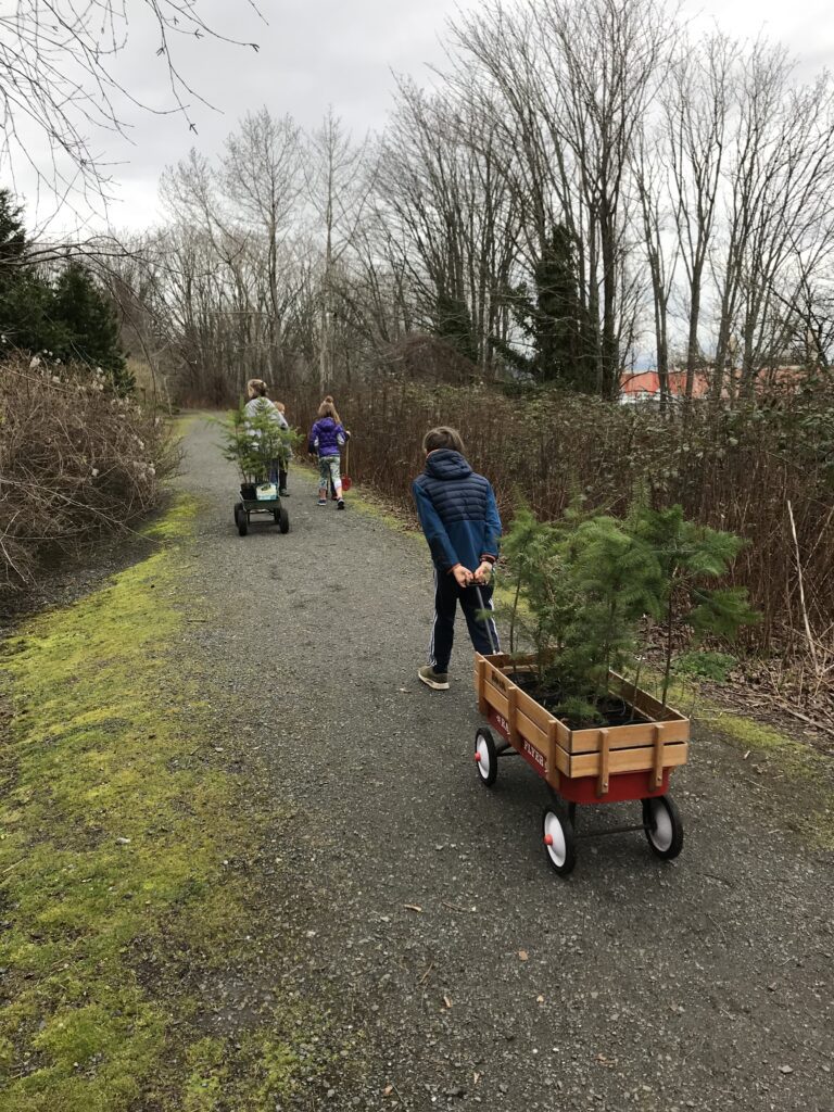 Amos Walters (right) pulls a wagon full of tree seedlings with Montana Walters (left), Silas Walters (center left) and Hazel Stevenson.