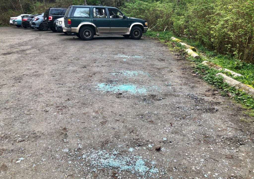 Piles of shattered glass in the parking lot left from the cars that got broken in.