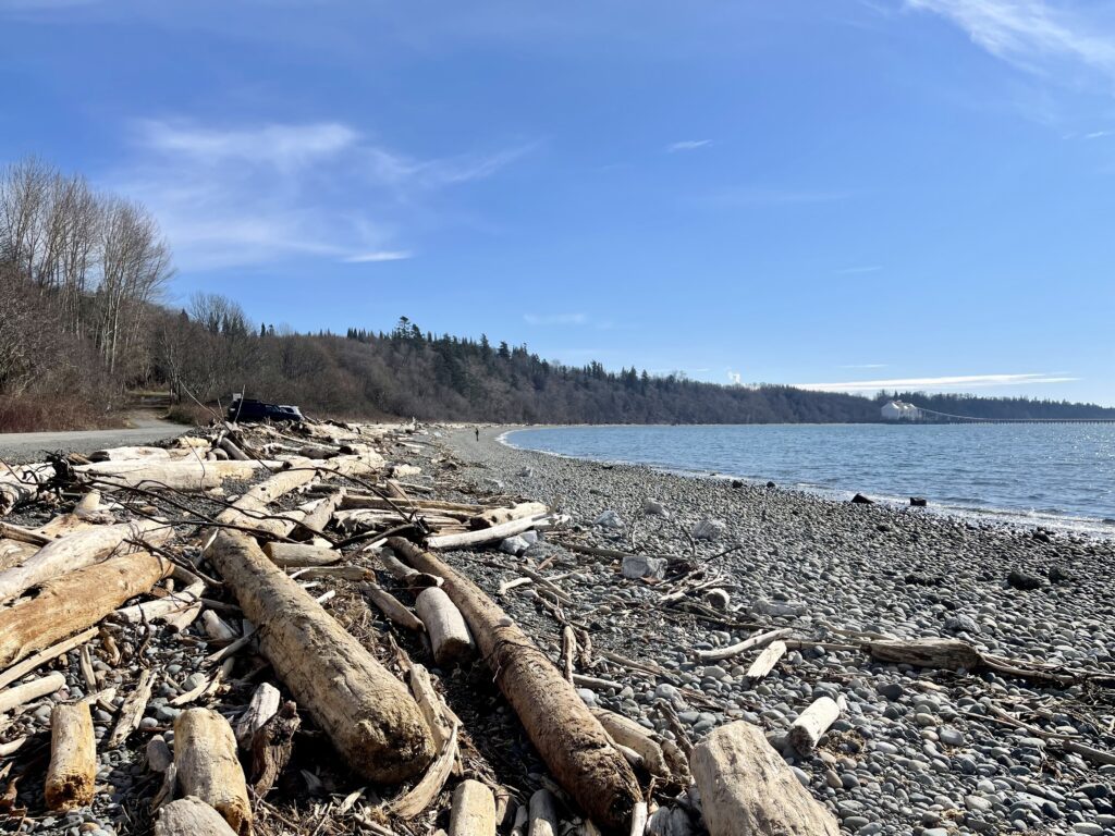 The Cherry Point beach with driftwood and rocks covering the shores.