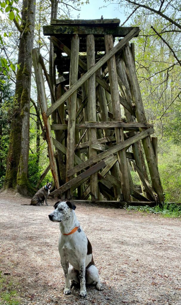 Hank and Carter sit near the deteriorating trestle.