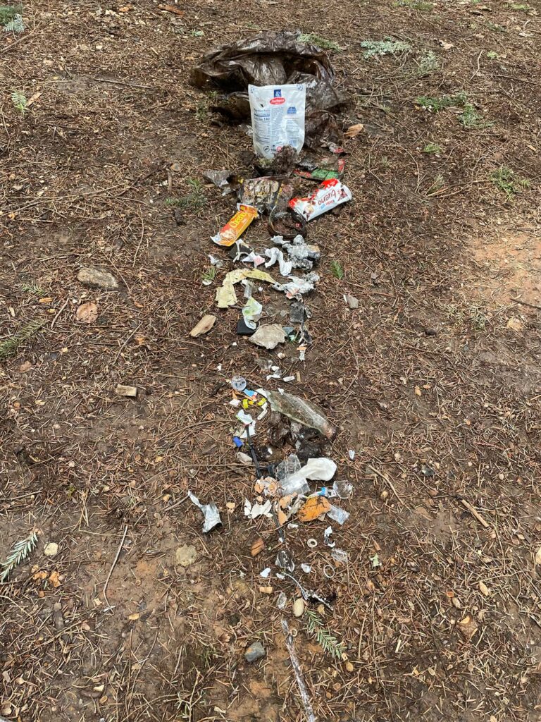 A trail of litter, trash and single use plastic from a garbage bag.