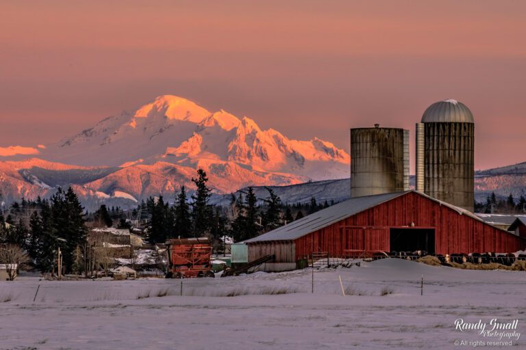 The sun sets on Mount Baker as snow covers Lynden.