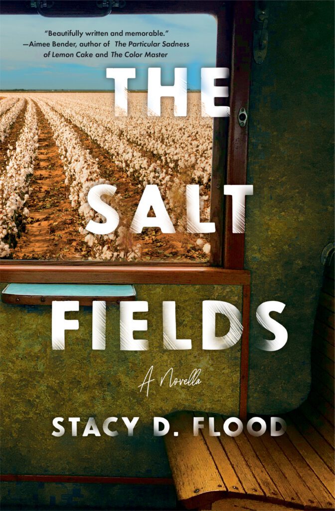 "The Salt Fields" book cover shows the view of the farm fields through a window.