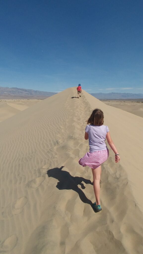 The Martin kids walk along the top of the sand dune in a straight line.