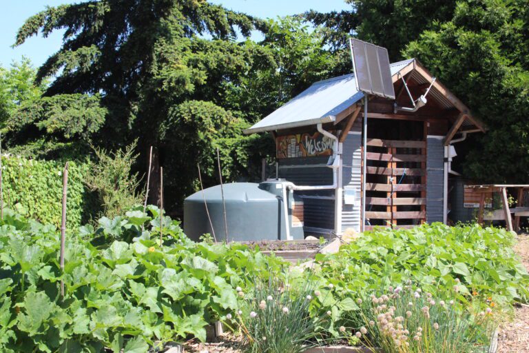 The York Community Farm with bright shrubberies surrounding the building.