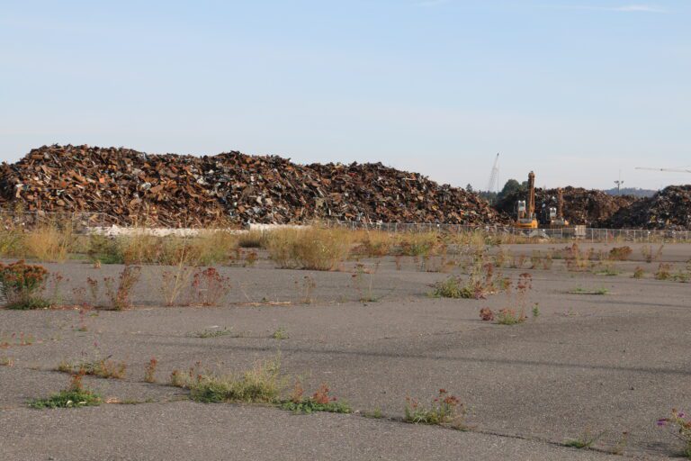 Piles of scrap metal await export at Bellingham Shipping Terminal.