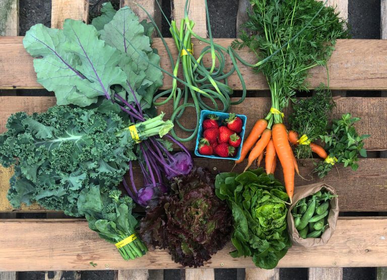 An assortment of fresh vegetables spread out on a wooden pallet.