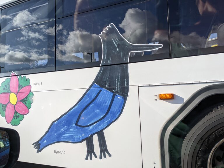 A drawing of a Steller's Jay adorns the of WTA bus.