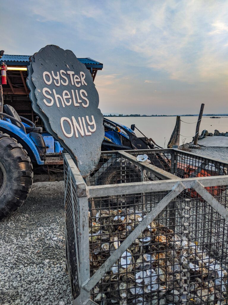 A metal bin with an oyster shaped sign lets visitors know that only oyster shells can be disposed there.