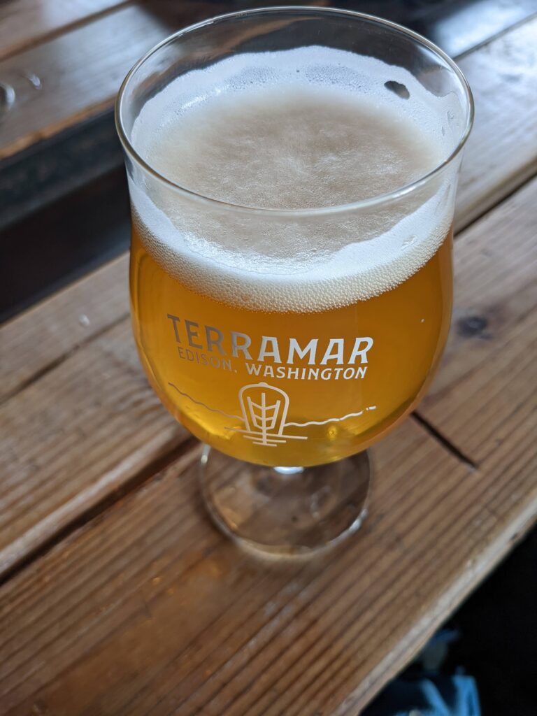 The fruity and funky Apricity Saison with Brett poured into a Terramar brand glass.