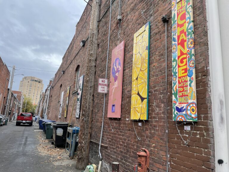 Colorful painted doors share space with garage bins, dumpsters, ladders and leaf-filled storm drains in Gallery Alley.