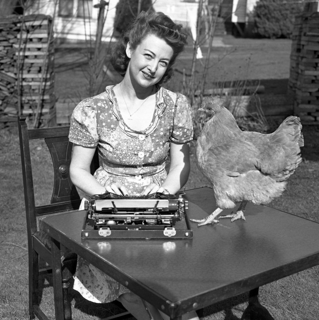 In this picture by Jack Carver, the hen's hardboiled detective fiction was deemed a potential bestseller.