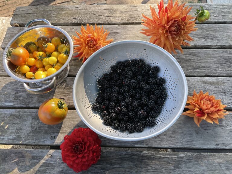 Himalayan blackberries in a bowl surrounded by flowers.