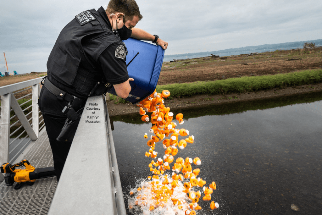 A police officer dumps a bucket of ducks into the water.