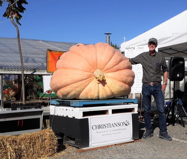 At the 2019 Skagit Valley Giant Pumpkin Festival, Lee Roof from Oak Harbor stands next to his entry.