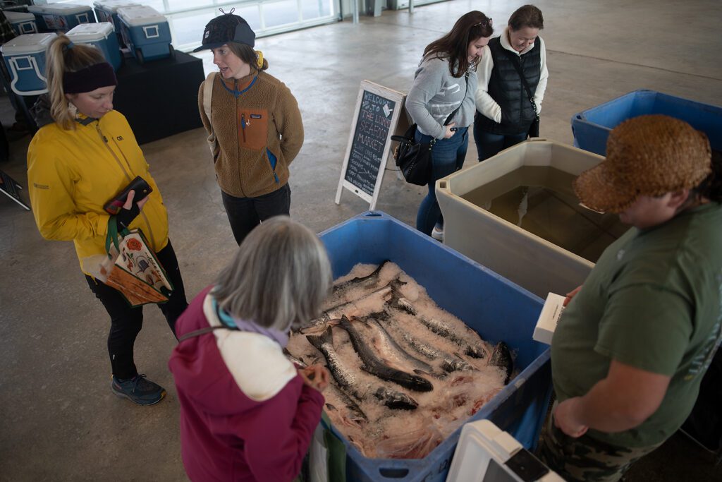 People at the Bellingham Dockside Market visit the Lummi Seafood Market and look over the fish stock.