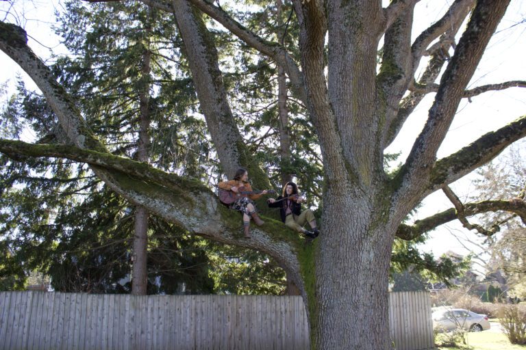 Guitarist Rosie O’Neil and fiddler Colleen Freeman of Marie sit on the branches of a large tree with their instruments.